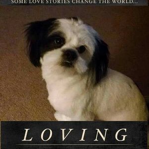 Meet your Posher, Teresa